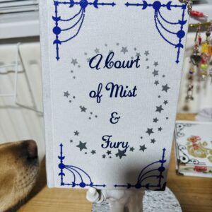 Sarah J Maas White & Blue Hardcover Book A Court of Mist & Fury